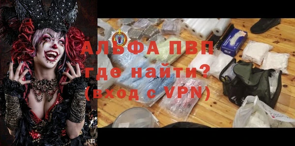 прущие грибы Протвино