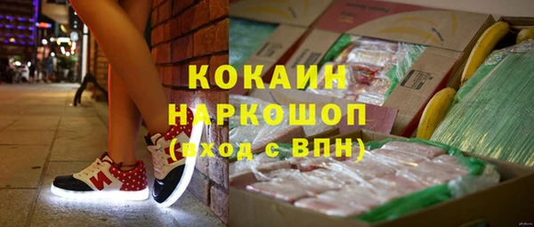 прущие грибы Протвино