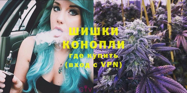 прущие грибы Протвино