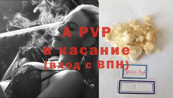 прущие грибы Протвино