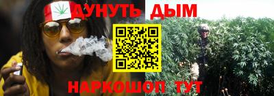 дмт Нарткала