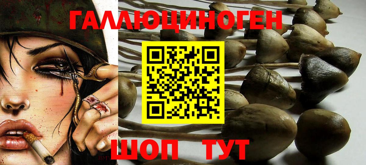 Галлюциногенные грибы Psilocybine cubensis  Псилоцибиновые грибы Cubensis  купить   Вход с VPN  Шарыпово 